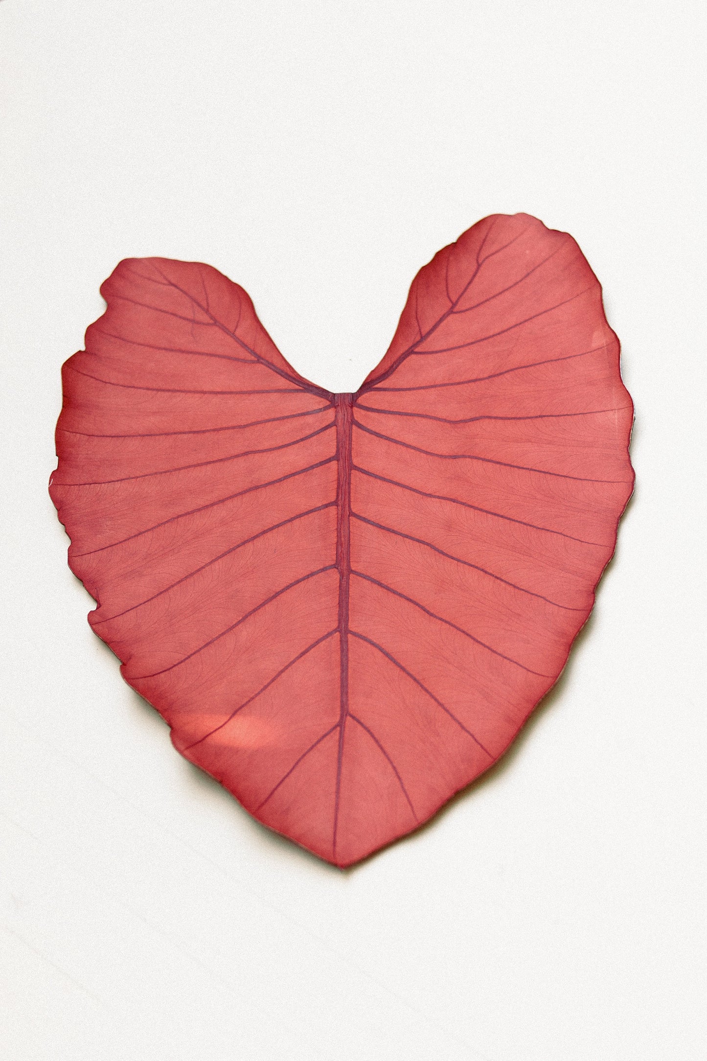 Table Mat - Leaf