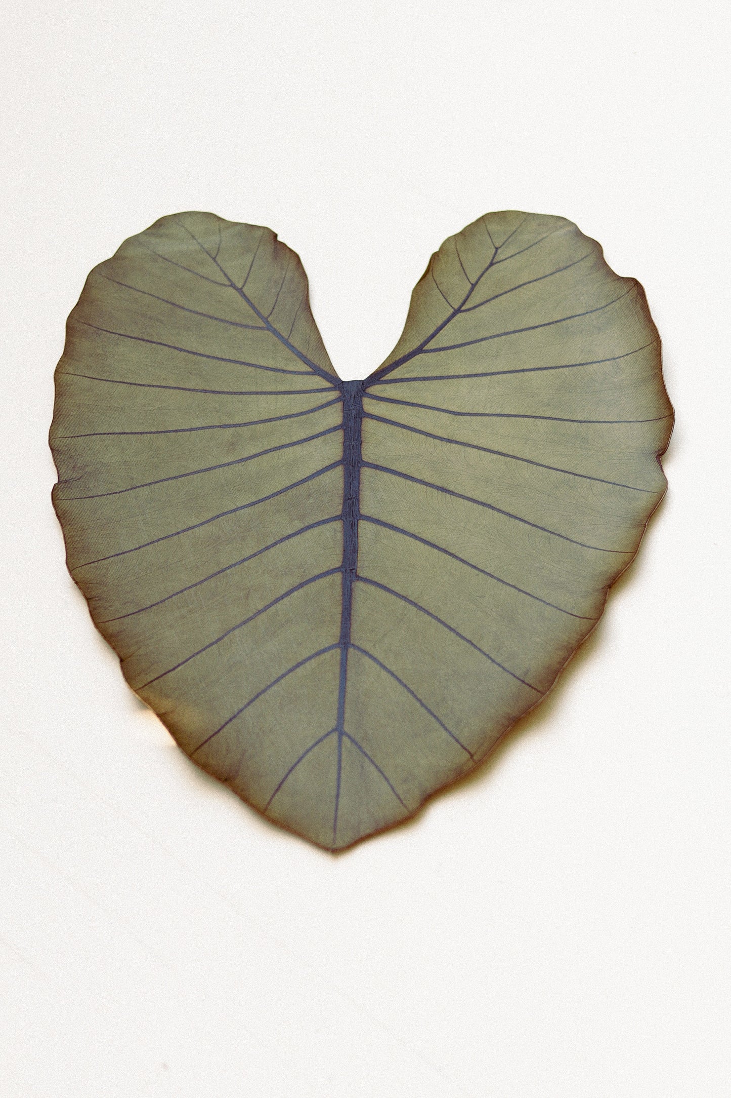 Table Mat - Leaf