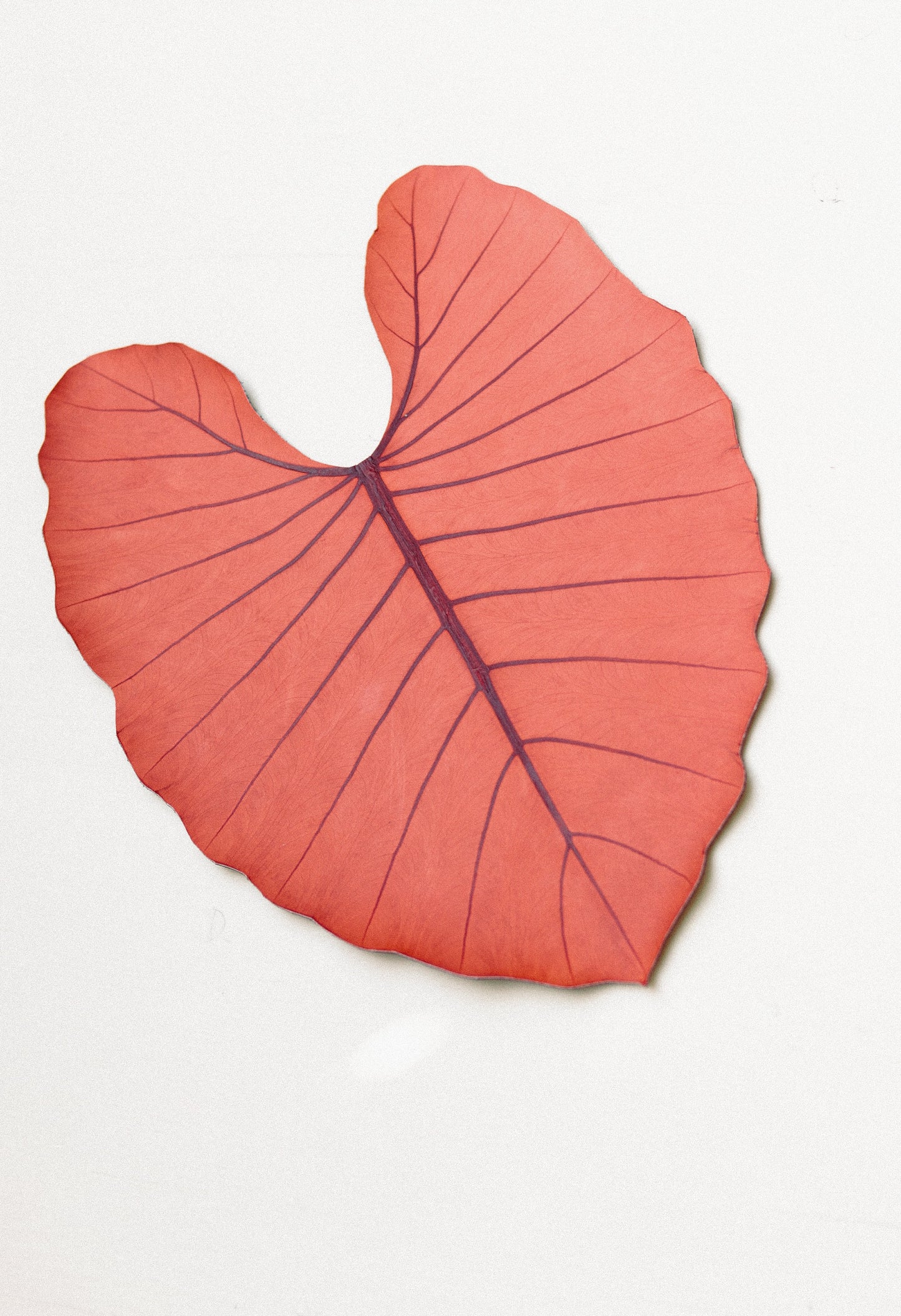 Table Mat - Leaf