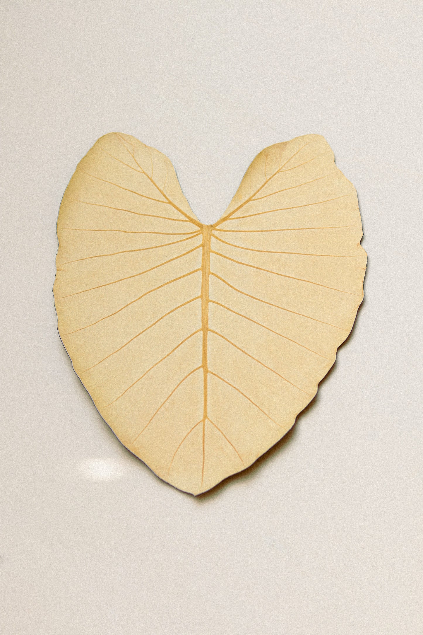 Table Mat - Leaf