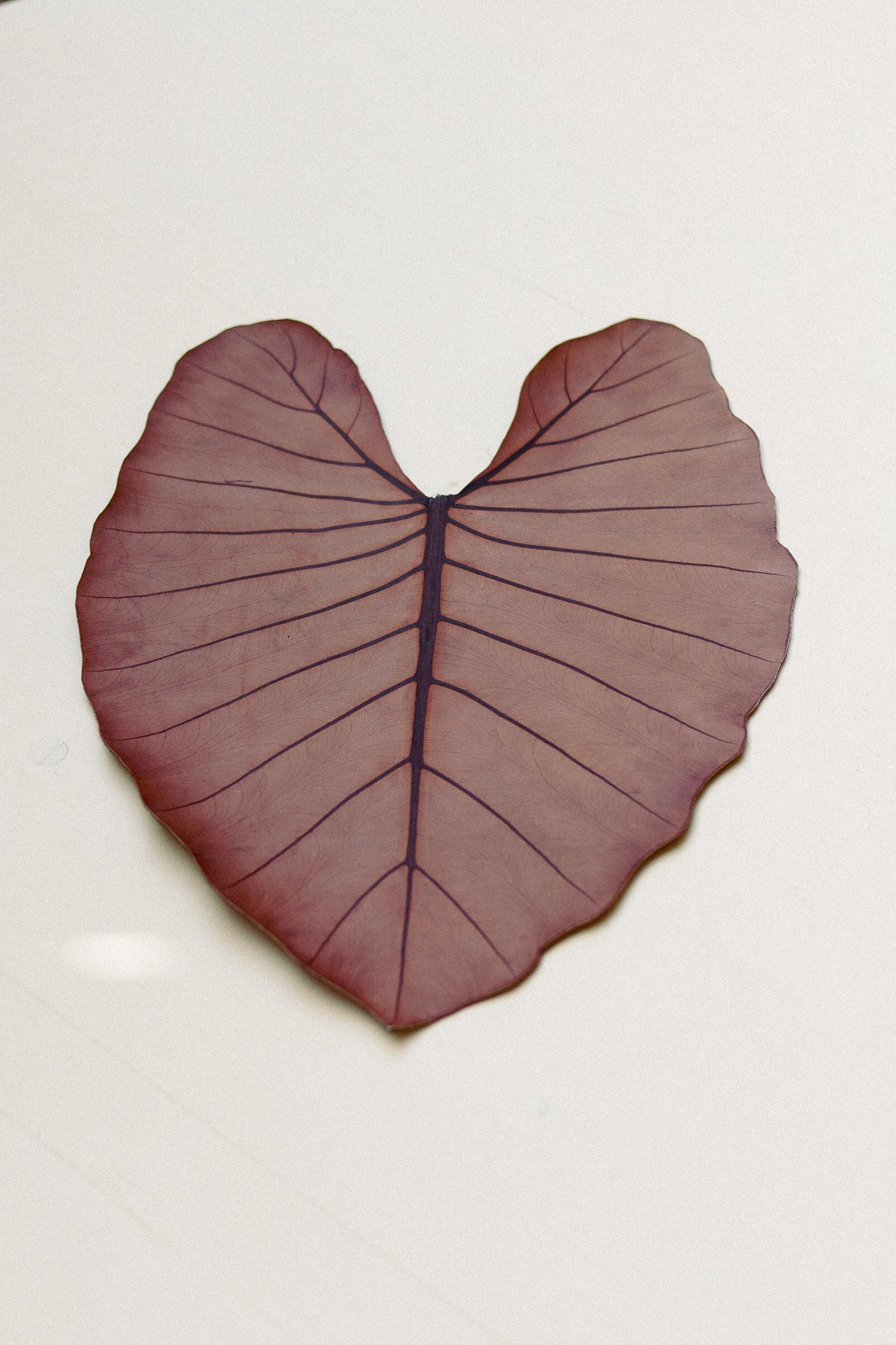 Table Mat - Leaf