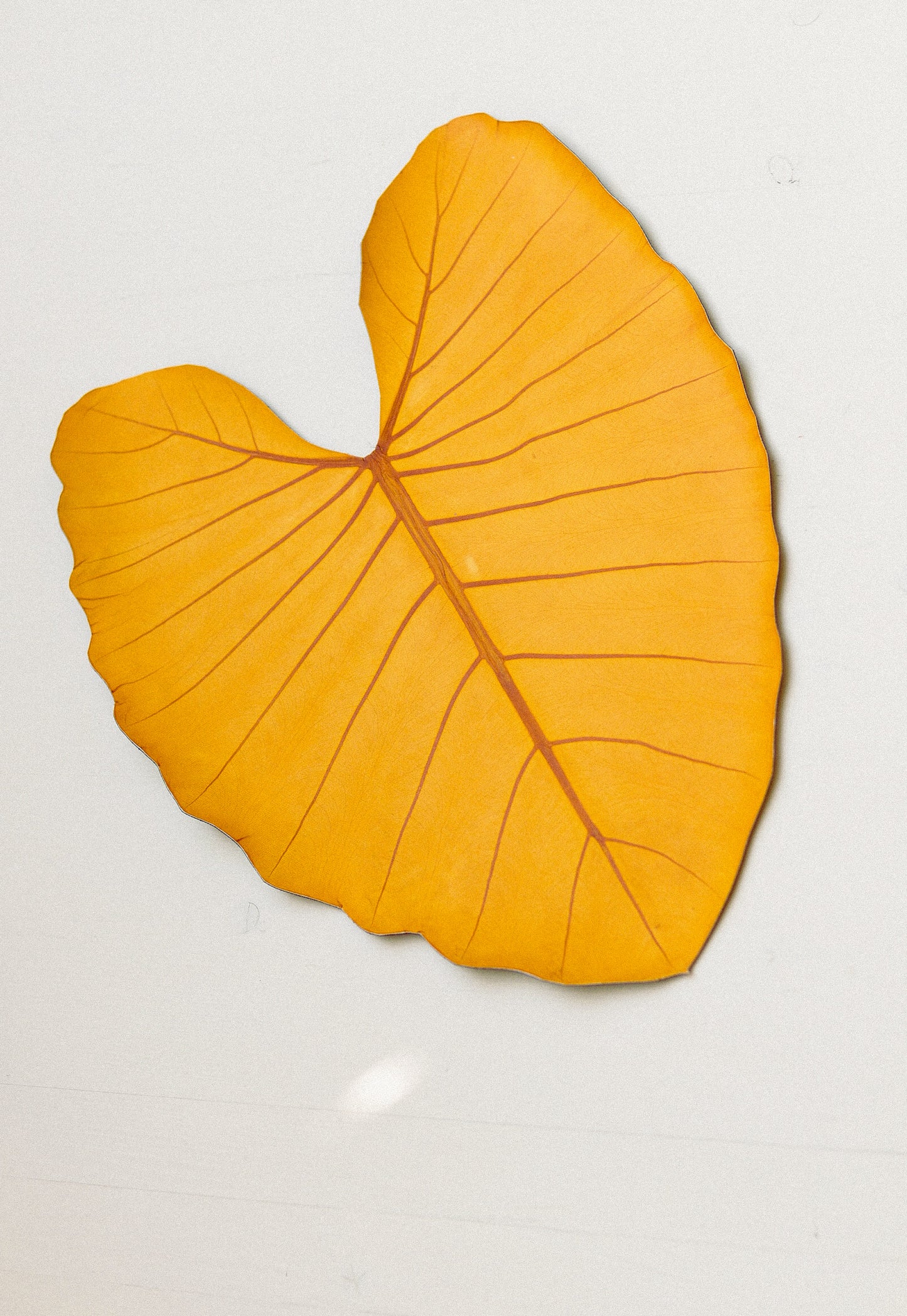 Table Mat - Leaf